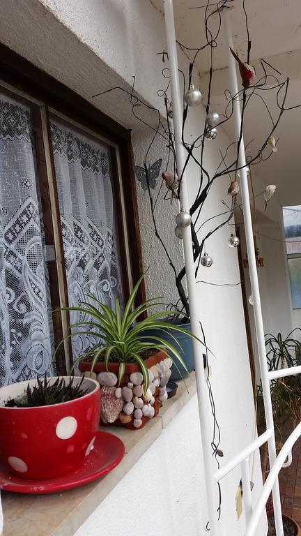 Apartments Aida Bihać Buitenkant foto